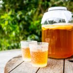 todo sobre kombucha